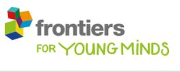 Frontiers young minds